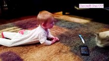 「かわいい赤ちゃんと猫」赤ちゃんとめちゃくちゃ楽しそうに遊ぶ猫・何されても怒らない猫