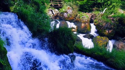 Irina Zoican - Doamne ce-o mai face muma