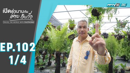 เปิดตำนานกับเผ่าทอง ทองเจือ | ดอยคำ และ ธรรมชาติ ประเทศไทย | 28 มิ.ย. 63 (1/4)