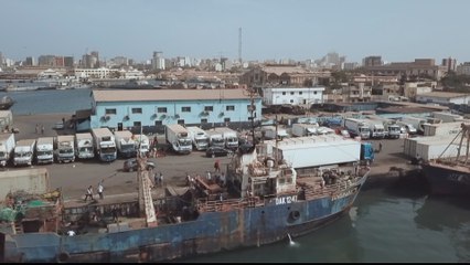 Senegalese worried over Chinese companies' fishing licences