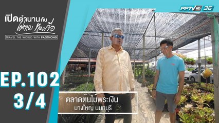เปิดตำนานกับเผ่าทอง ทองเจือ | ดอยคำ และ ธรรมชาติ ประเทศไทย | 28 มิ.ย. 63 (3/4)
