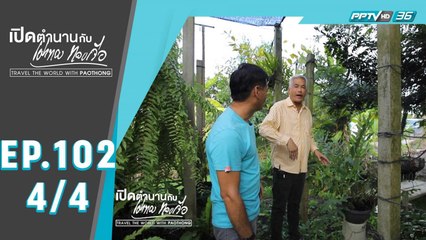 เปิดตำนานกับเผ่าทอง ทองเจือ | ดอยคำ และ ธรรมชาติ ประเทศไทย | 28 มิ.ย. 63 (4/4)