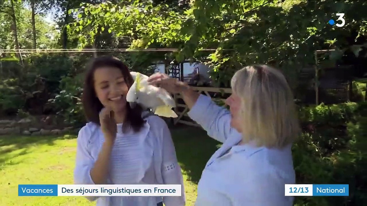 Bretagne : des séjours linguistiques en immersion sans quitter le sol français
