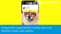 Snapchat’s augmented reality lens can identify dogs and plants.