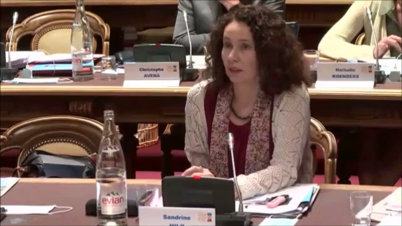 Sandrine HILY. Vote du voeu relatif à l'accord de libre-échange UE-Mexique. Session du 24 juin 2020