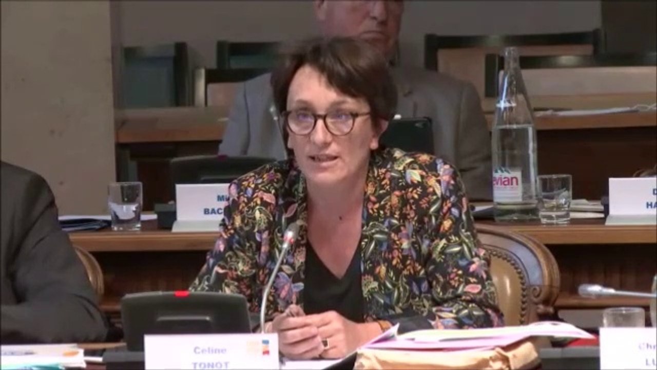 Céline TONOT. Agenda 21 scolaire dans les collèges. Session du 24 juin 2020