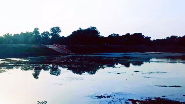 PONDS LOOK . NATURE VIDEOS . #nature #ponds