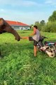 MASTER AND HIS WELL TRAINED FRIEND ELEPHANT- MUST SEE