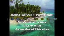 Baksa Görecek Yalnızlığım-- seslendiren video-- Aynur AVCI