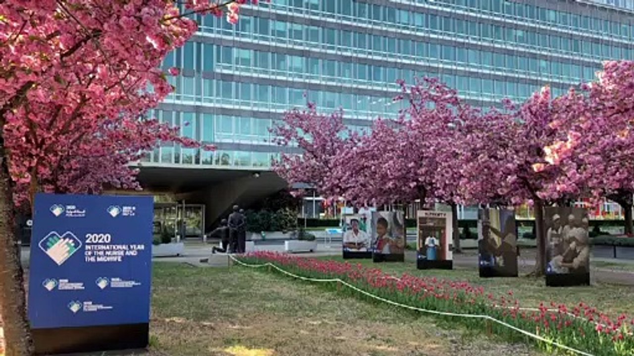 Corona-Manöverkritik im EU-Parlament