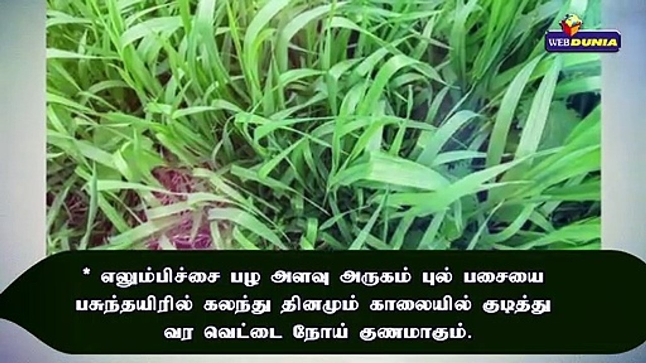 ரத்தத்தை சுத்தமாக்கும் அருகம்புல் சாறு!!