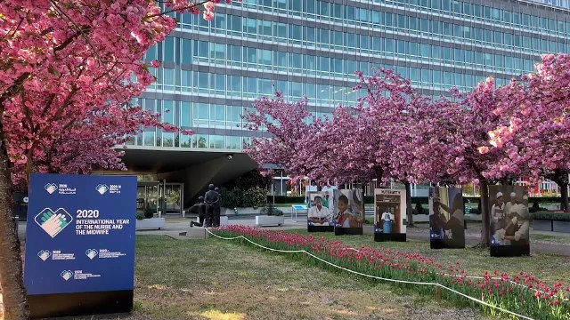 Евродепутаты расспросили главу ВОЗ о пандемии