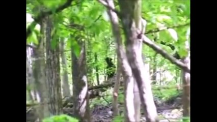 Mysterious Stories and Things Found in Jungle - Reality Tv