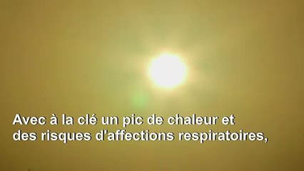 Un nuage de poussière du Sahara assombrit l'horizon de Cuba