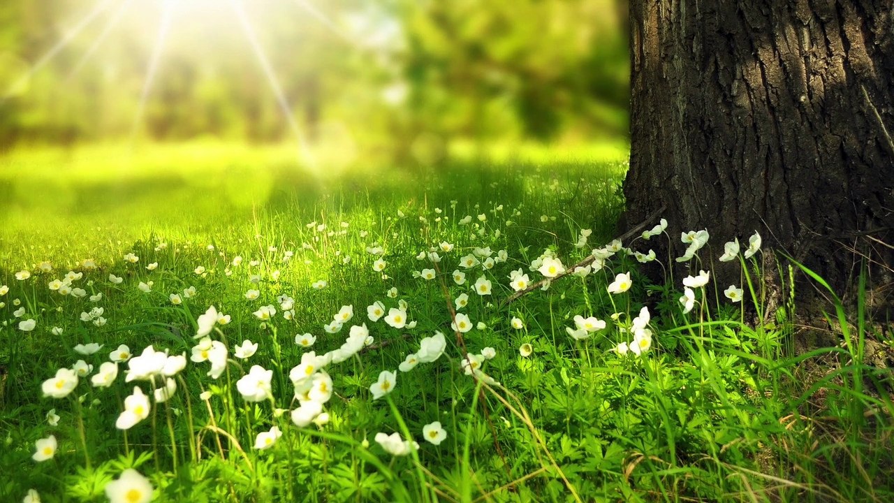 Does Warm Weather Cause Nail Fungus?