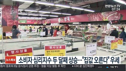 소비자 심리지수 두 달째 상승…"집값 오른다" 우세