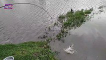 Best Hook Fishing Video Fishing with Hook Traditional Hook Fishing By Doljor Fishing