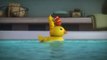 LARVA - ALL ABOARD THE RUBBER DUCKY - Cartoons - Comics - LARVA Official