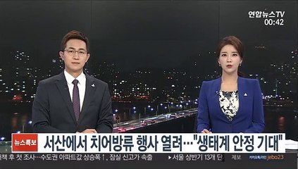 서산에서 치어방류 행사 열려…"생태계 안정 기대"