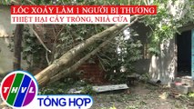 Lốc xoáy làm 1 người bị thương, hàng ngàn cây cao su bị gãy đổ tại Bình Phước