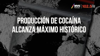 Producción de cocaína alcanza máximo histórico