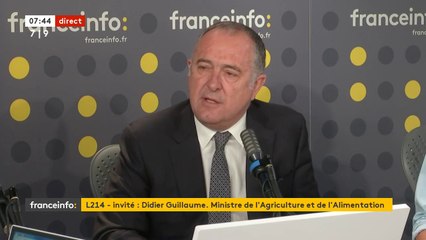 Maltraitance animale dans les abattoirs : le ministre de l'Agriculture promet de "mettre le paquet" contre des "situations inacceptables"