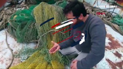 Doğu Akdeniz'de ilk kez görüldü! Ekonomik değeri yüksek