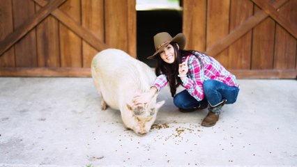 Farm Counting Numbers | Newbie Lesson | ChinesePod
