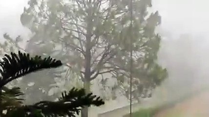 Heavy Rain - Margalla Hills | Just Updates