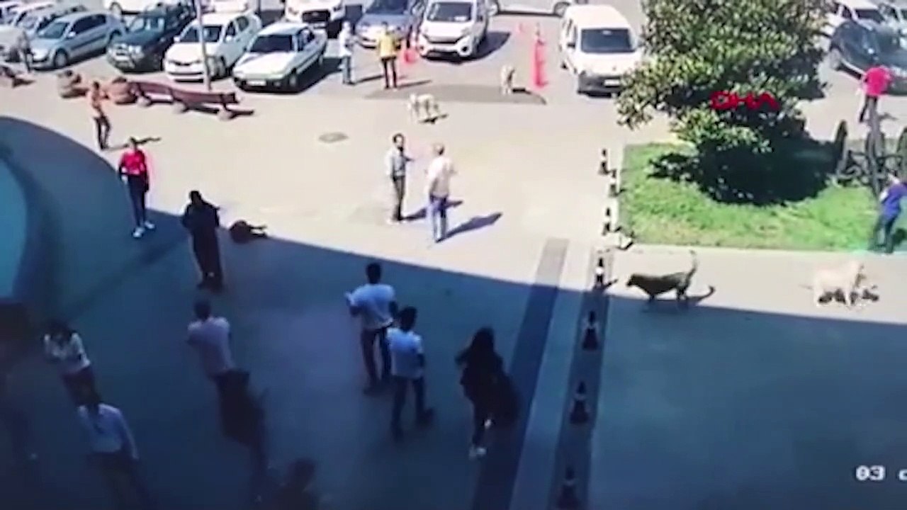 Manisa'da 5.5 büyüklüğünde deprem meydana geldi