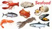 Sea food _ Sea food name and picture _ Top 10 sea food _ Easy English Learning P