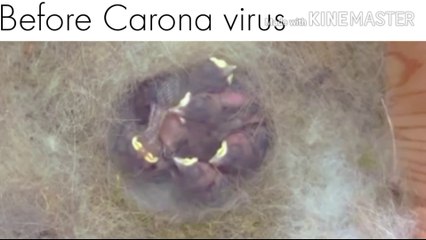 Funny video about covid - covid 19 funny video | After covid -19 very funny video - Never miss this