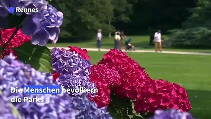 Erste Hitzewelle in Frankreich