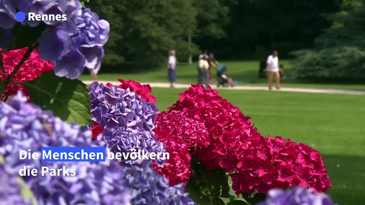 Erste Hitzewelle in Frankreich