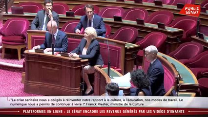 Comment encadrer l'exploitation commerciale de l'image d'enfants sur Internet ? - Les matins du Sénat (26/06/2020)