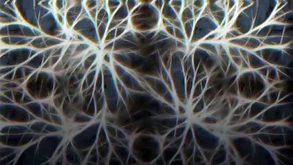 Ce traitement unique a permis d'éliminer la maladie de Parkinson chez la souris