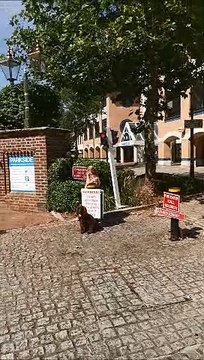 Parents protest outside council offices in Horsham after the reopening of two primary schools to all year groups was postponed