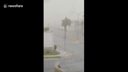 Visibility extremely low as Saharan dust cloud sweeps over Mexico