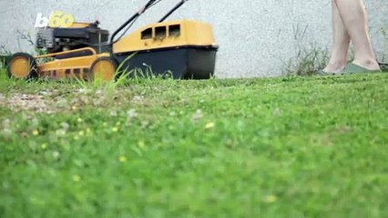 Spruce & Save! Here Are Some Ways to Spruce up the Outside of Your Home for Cheap!