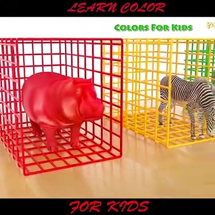 Animals Transporter for Kids video Dailymotion