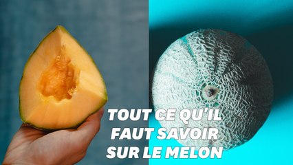 Pour cet été, voici 5 conseils pour choisir son melon