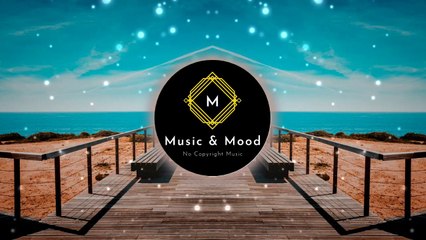 Erik Lund - Summertime (Vlog No Copyright Music)