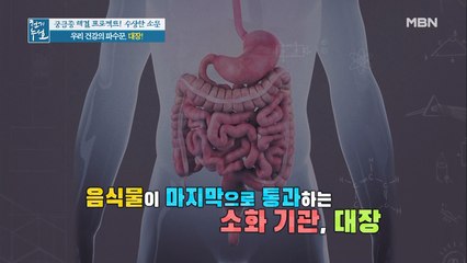 우리 건강의 파수꾼, OO…!