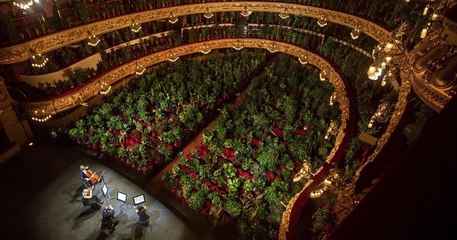 Plus de 2000 plantes ont servi de public lors d'un concert pour la réouverture de l'opéra de Barcelone