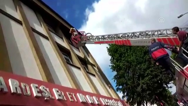 Yuvadan düşen serçe yavruları itfaiye tarafından yerine konuldu - KASTAMONU