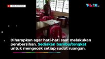 Sekolah Libur, Meja Kelas Jadi Sarang Ular Kobra