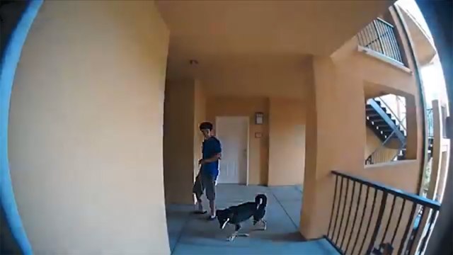 Ce winner vole le colis Amazon de son voisin