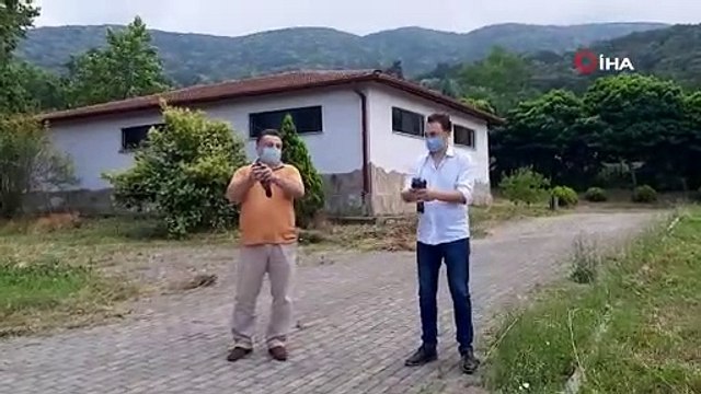 Bursa'da tedavileri tamamlanan yaban hayvanlar doğal ortamlarına salındı