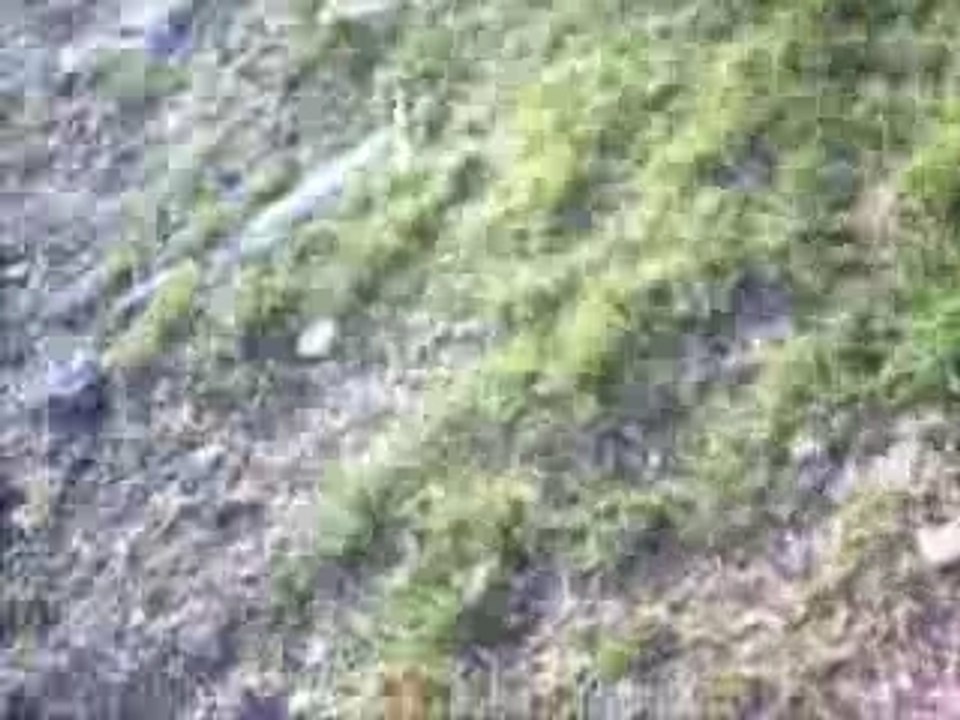 Chute en dirt