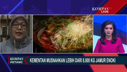 Ahli Mikrobiologi: Jamur Enoki yang Tercemar Bisa Menyebabkan Keguguran